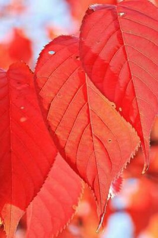 Cover of Vivid Red Autumn Leaves Journal