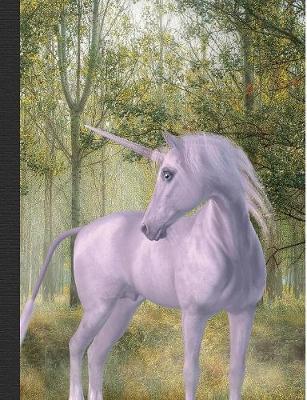 Book cover for Unicorn Magical Forest Composition Notebook, Dotted Grid Journal Paper