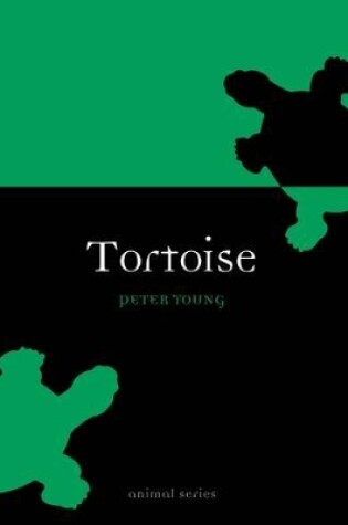 Cover of Tortoise