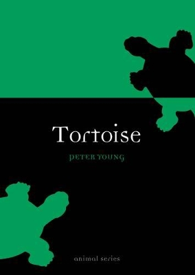 Cover of Tortoise