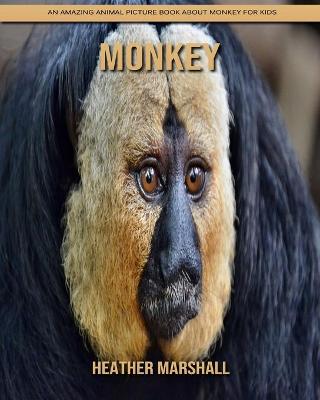 Book cover for Monkey