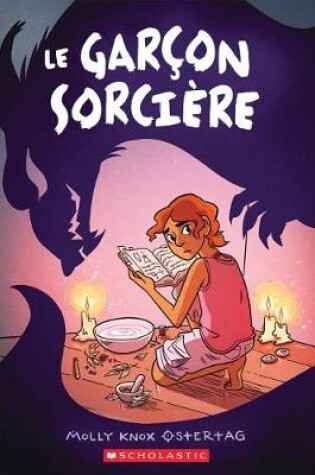 Cover of Le Garçon Sorcière