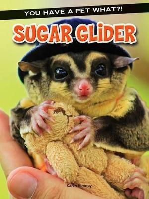 Book cover for Sugar Glider