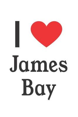 Book cover for I Love James Bay