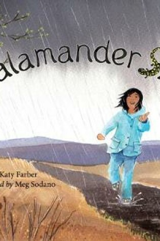 Cover of Salamander Sky