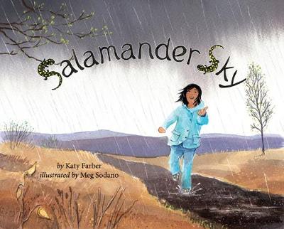 Book cover for Salamander Sky