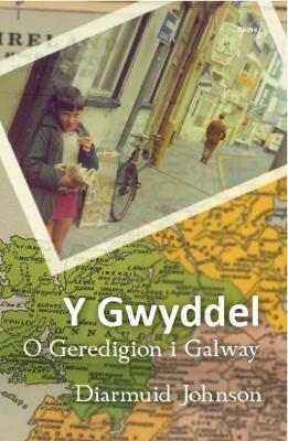 Book cover for Gwyddel, Y - O Geredigion i Galway