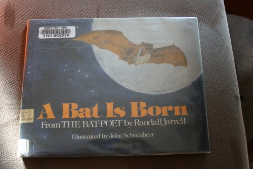 Book cover for A Bat is Born, from the Bat-Poet