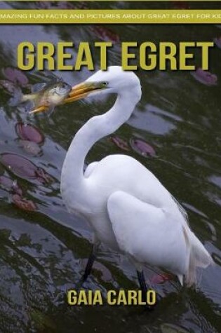 Cover of Great Egret