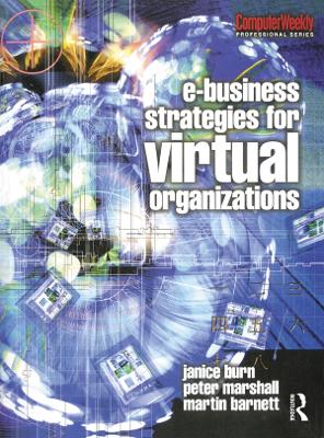 Book cover for e-Business Strategies for Virtual Organizations