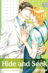 Book cover for Hide and Seek, Vol. 3