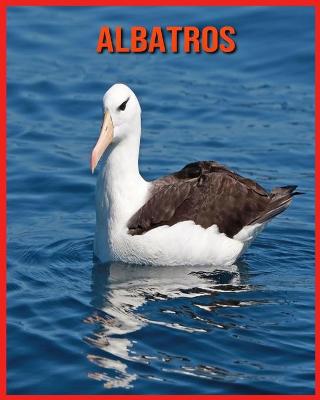 Book cover for Albatros