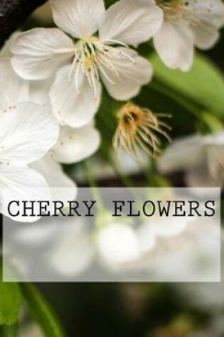 Cover of Cherry Flowers