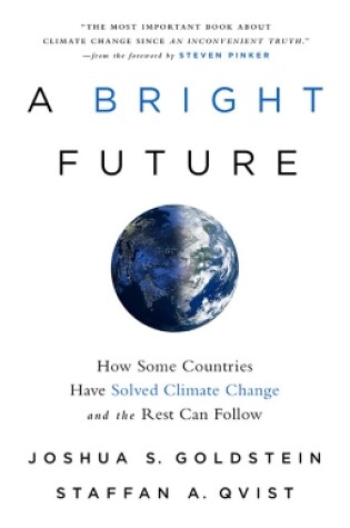 Cover of A Bright Future