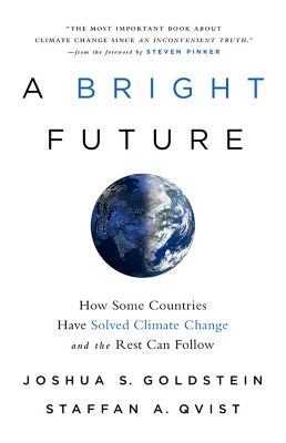 Book cover for A Bright Future
