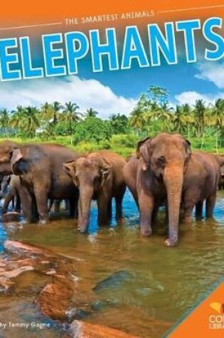 Cover of Elephants