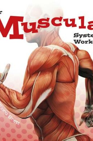 Cover of Your Body Systems Your Muscular System Works