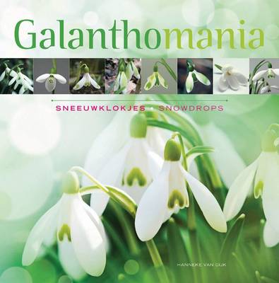Cover of Galanthomania