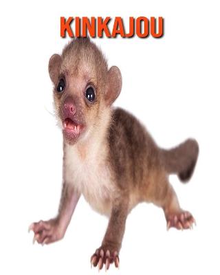 Book cover for Kinkajou