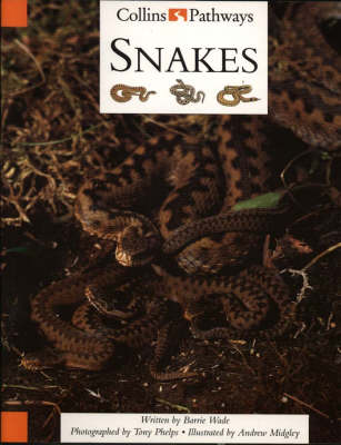 Book cover for Collins Pathways Big Book: Snakes Stage 5