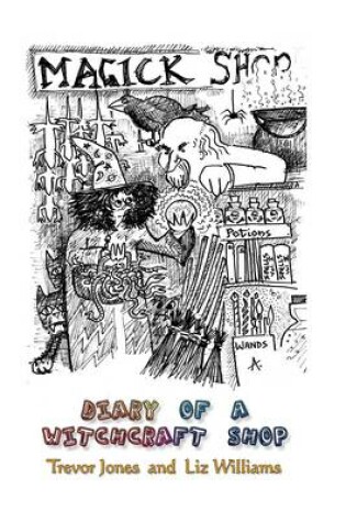 Cover of Diary of a Witchcraft Shop