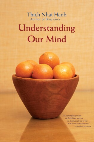 Book cover for Understanding Our Mind