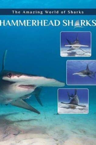 Cover of Hammerhead Sharks