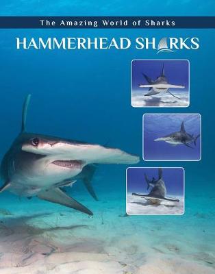 Book cover for Hammerhead Sharks