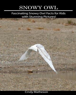 Book cover for Snowy Owl