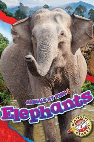 Cover of Elephants