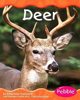 Book cover for Deer