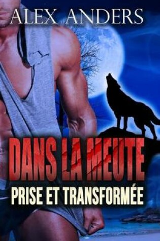 Cover of Prise Et Transformee