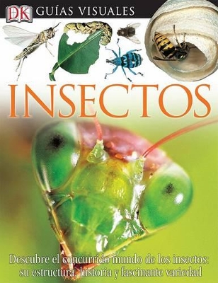 Book cover for Insectos