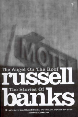 Cover of The Angel on the Roof