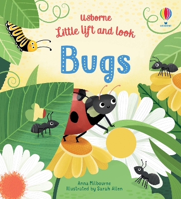 Book cover for Little Lift and Look Bugs