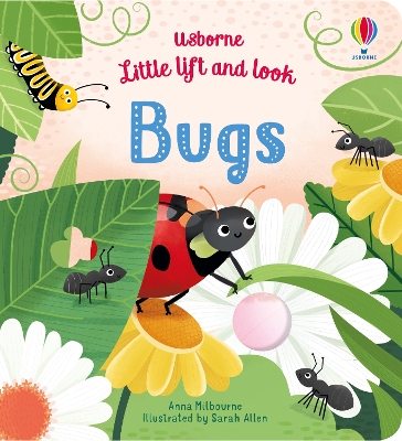 Book cover for Little Lift and Look Bugs