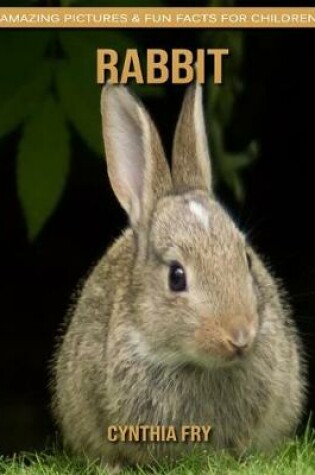 Cover of Rabbit