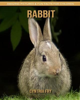 Book cover for Rabbit