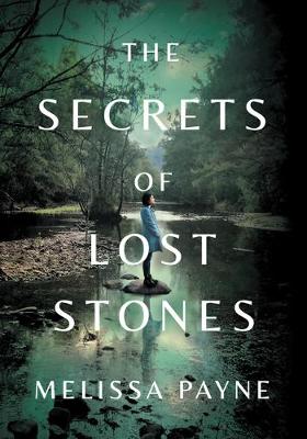 Book cover for The Secrets of Lost Stones