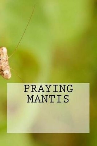 Cover of Praying Mantis