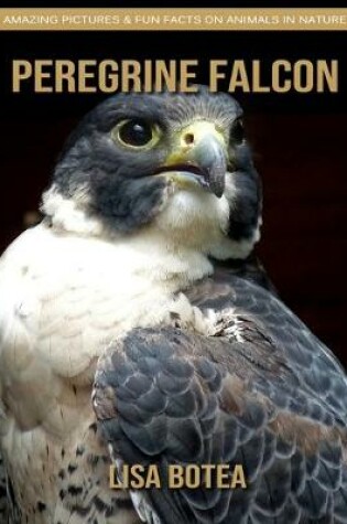 Cover of Peregrine Falcon