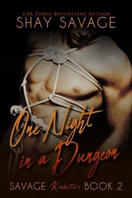 Book cover for One Night in a Dungeon