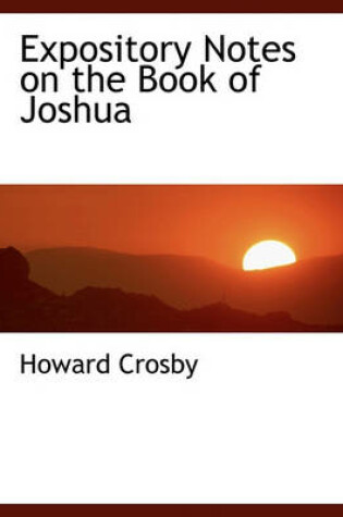 Cover of Expository Notes on the Book of Joshua