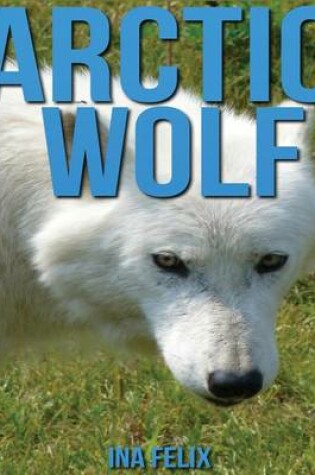 Cover of Arctic Wolf