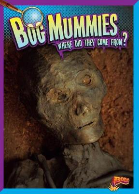 Book cover for Bog Mummies
