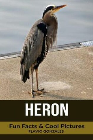 Cover of Heron