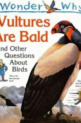 Cover of I Wonder Why Vultures Are Bald