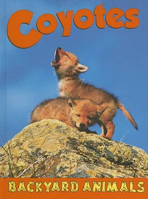 Cover of Coyotes