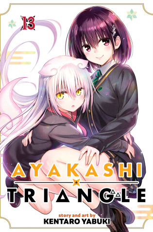 Cover of Ayakashi Triangle Vol. 13