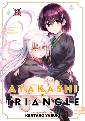 Book cover for Ayakashi Triangle Vol. 13